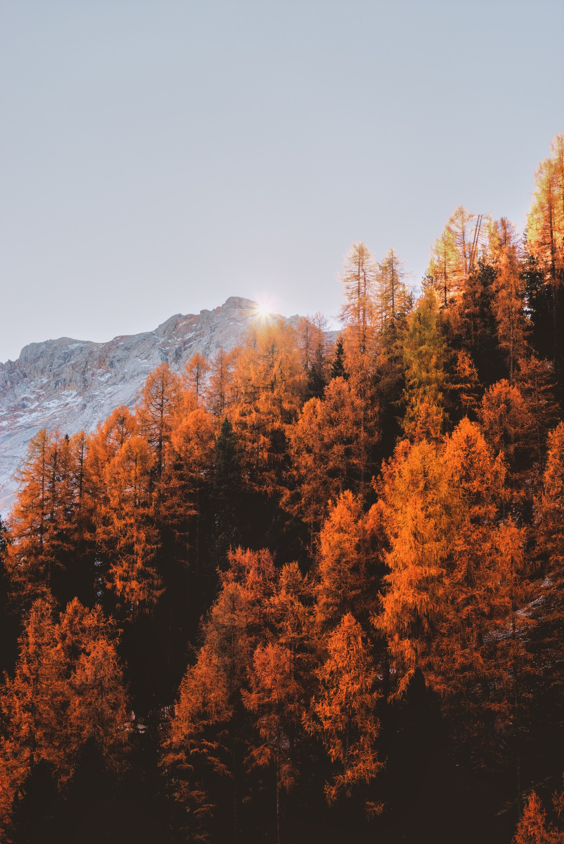 modal subscription image